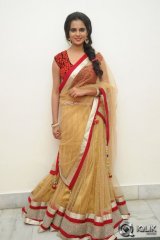 Manasa at Rowdy Fellow Movie Audio Launch